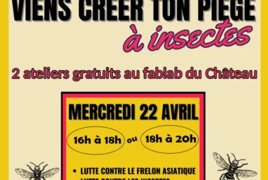 Viens créer ton piège à insectes