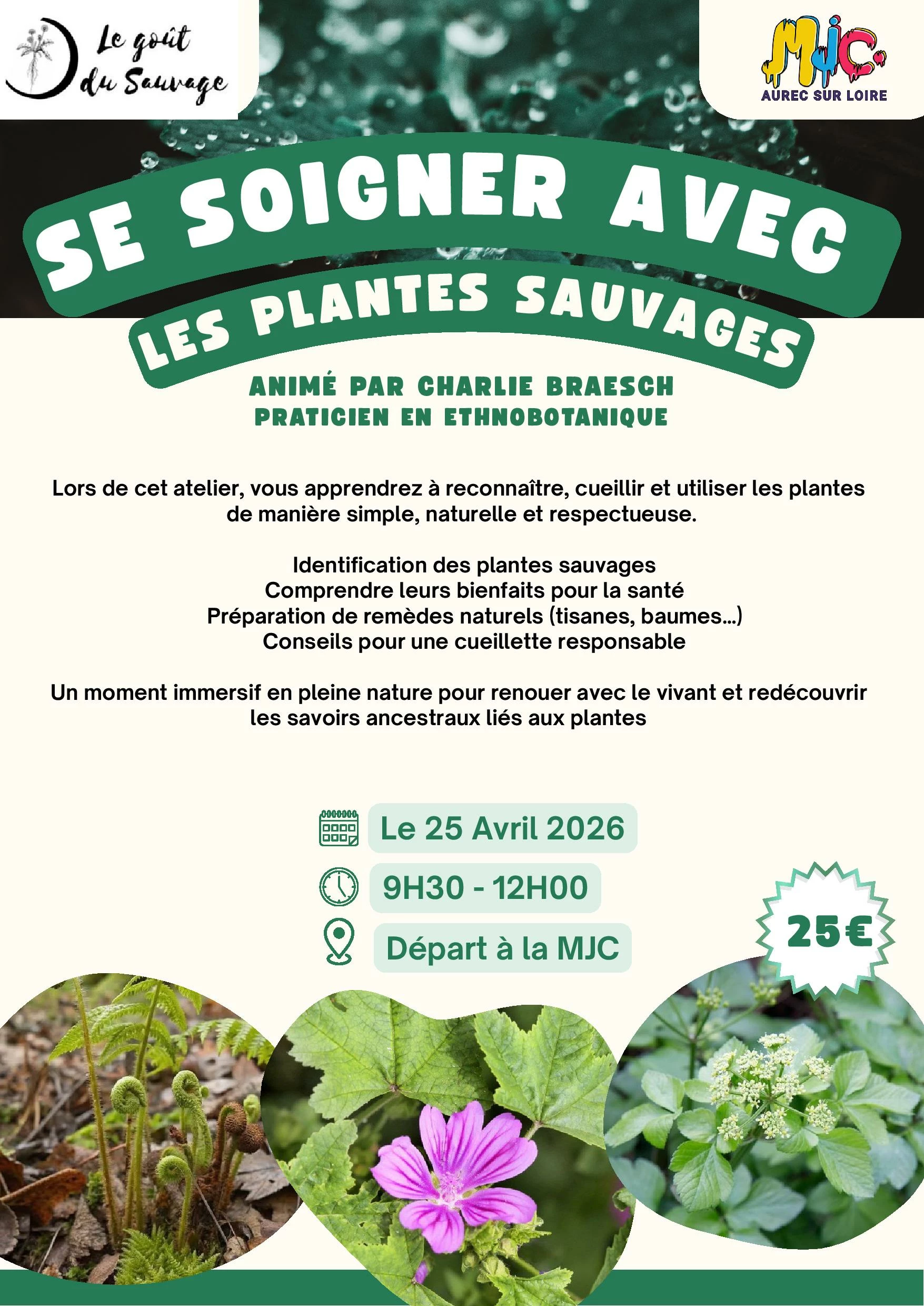 Atelier Se soigner avec les plantes sauvages
